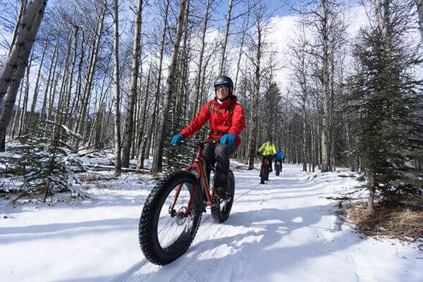 Fat Bike Frozen Waterfall Tour, Kananaskis